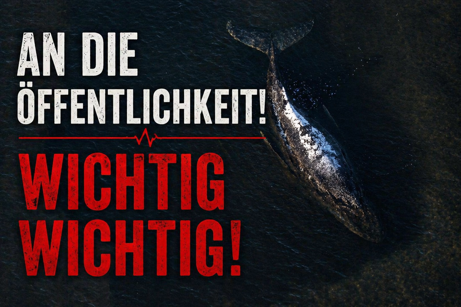 An die Öffentlichkeit!